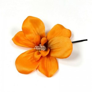 AB-133 Haarblüte, orange, 9 cm_a