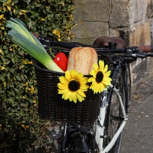 AB-145 Ansteckblume Sonnenblume, gelb, 13 cm_b